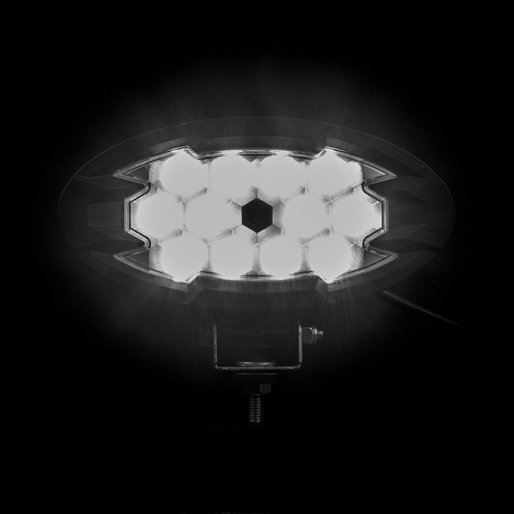 lampa-robocza-raptor-lrd-3162-04.jpg