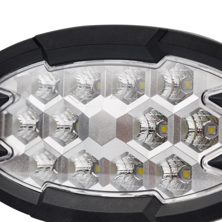 lampa-robocza-raptor-lrd-3162-06.jpg