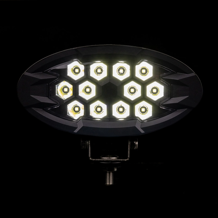lampa-robocza-raptor-lrd-3169-02.jpg