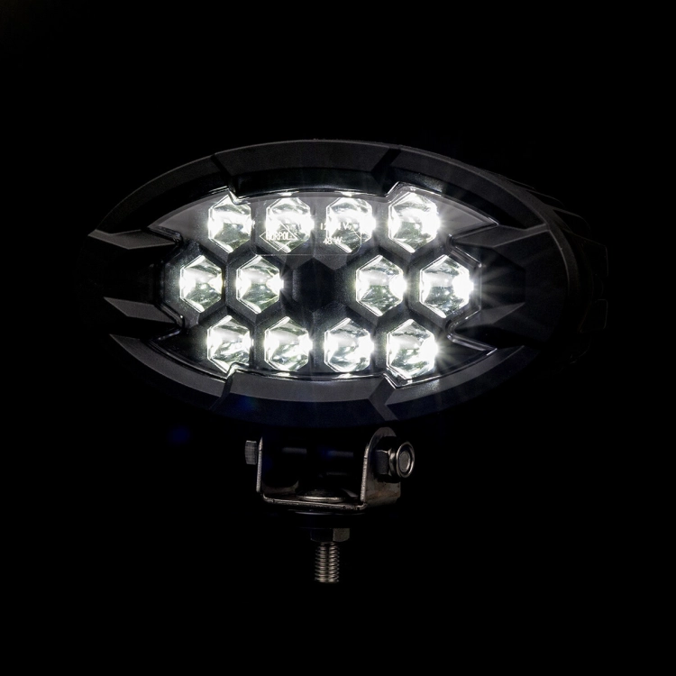lampa-robocza-raptor-lrd-3169-03.jpg