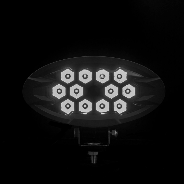 lampa-robocza-raptor-lrd-3167-04.jpg
